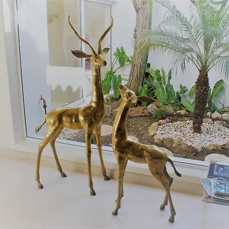 Quinta Dos Oliveiras Panzió