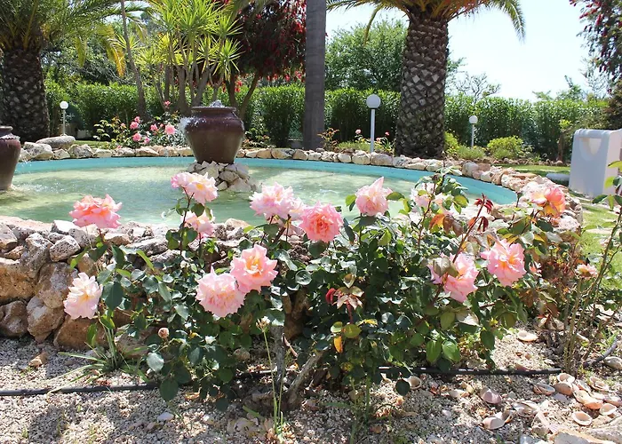 Quinta Dos Oliveiras Bed & Breakfast Carvoeiro (Lagoa)