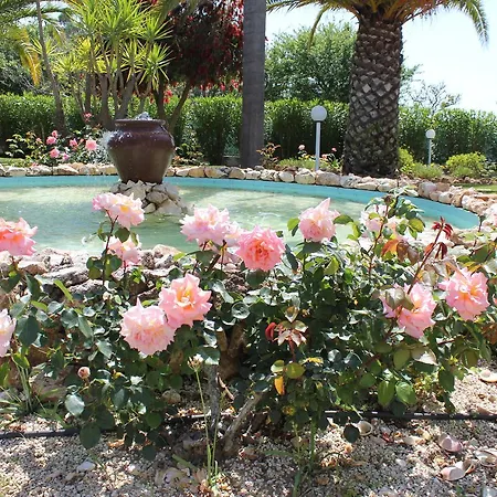 Quinta Dos Oliveiras Bed & Breakfast Carvoeiro (Lagoa)