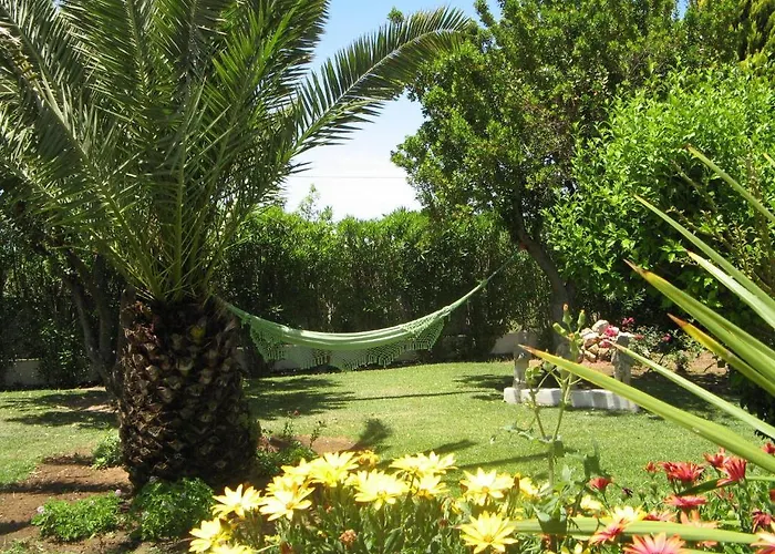 Quinta Dos Oliveiras 4* Карвоейру